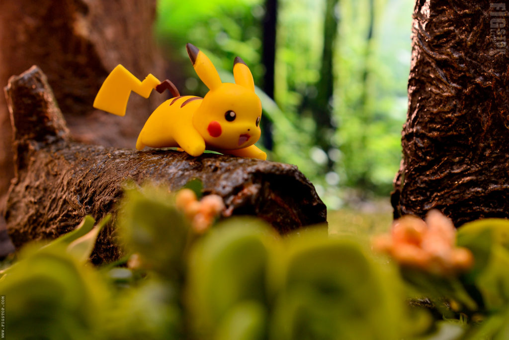 Pokimon Spotting in the Woods